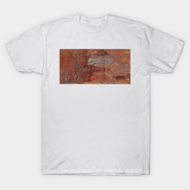 Study of Rocks, Petra by Frederic Edwin Church T-Shirt by Classic Art Stall